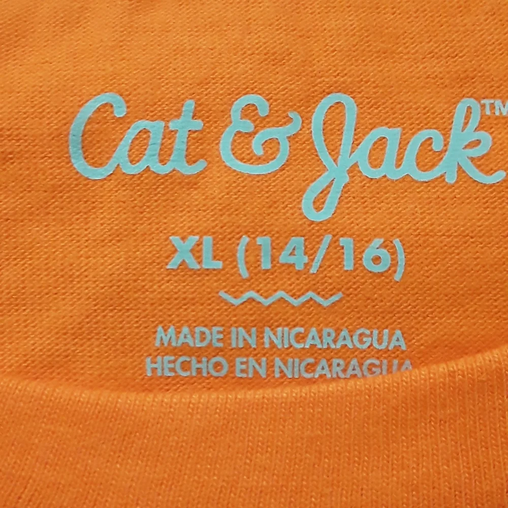 Cat & Jack halloween pumpkin